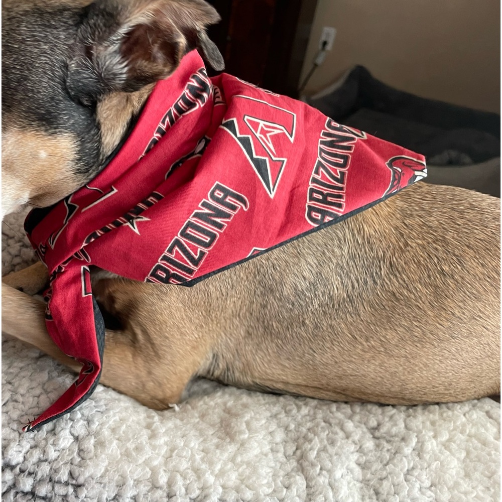 Diamondbacks Dog Bandanna